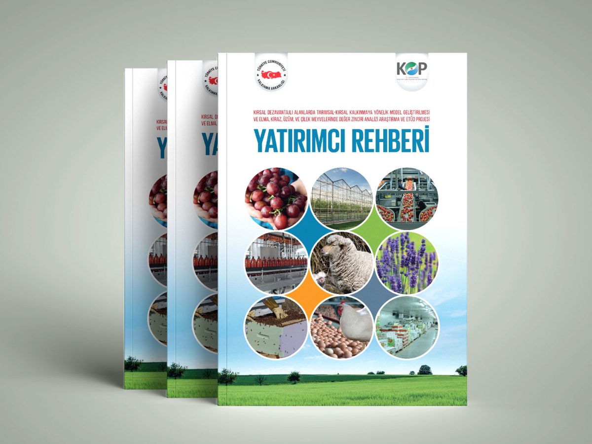 kop-yatirimci-rehberi