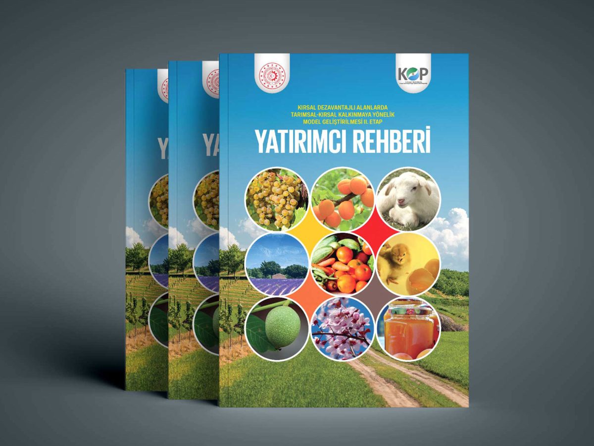 kop-yatirimci-rehberi2